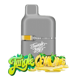 Disposable Vape